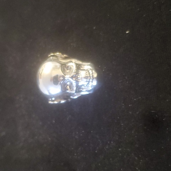 New Silver Titanium Skull Pendant. - Picture 4 of 12